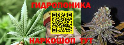 2c-b Кинель