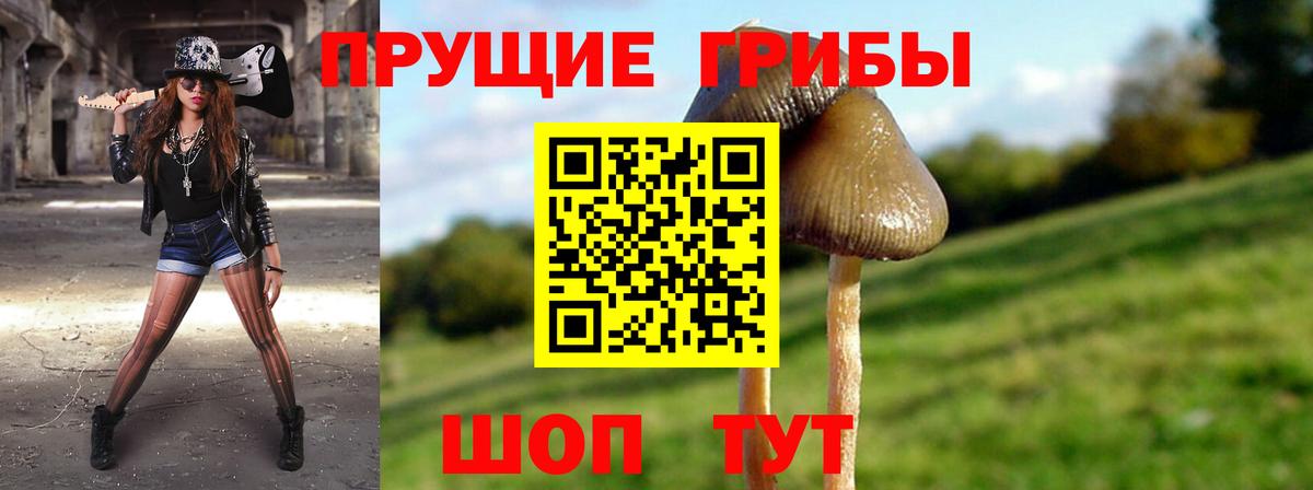 Псилоцибиновые грибы мухоморы Феодосия