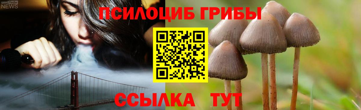 Феодосия  Псилоцибиновые грибы Cubensis  Вход с VPN 